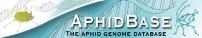 AphidBase